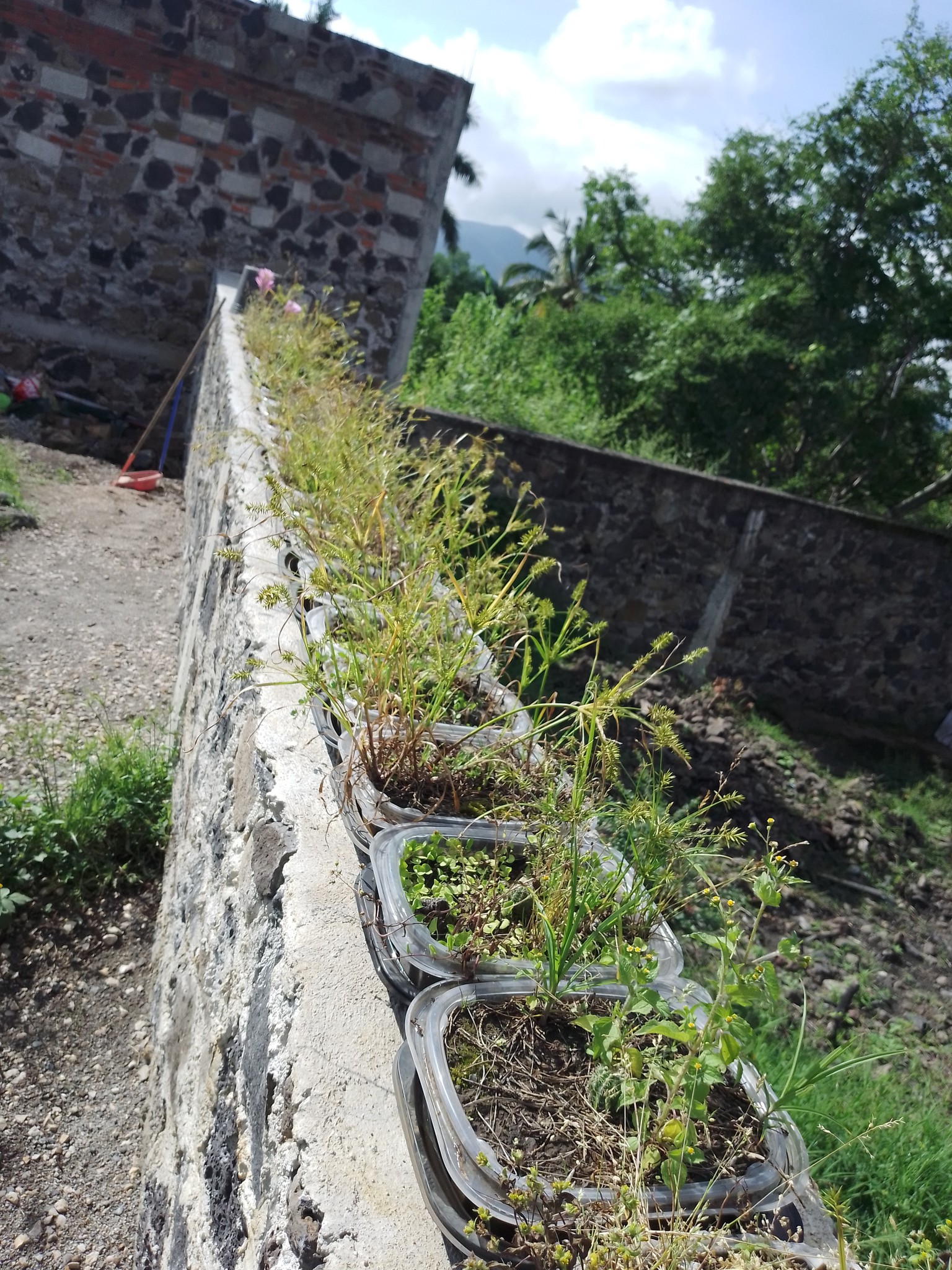 Trabajo 2 Las Cuatalatas