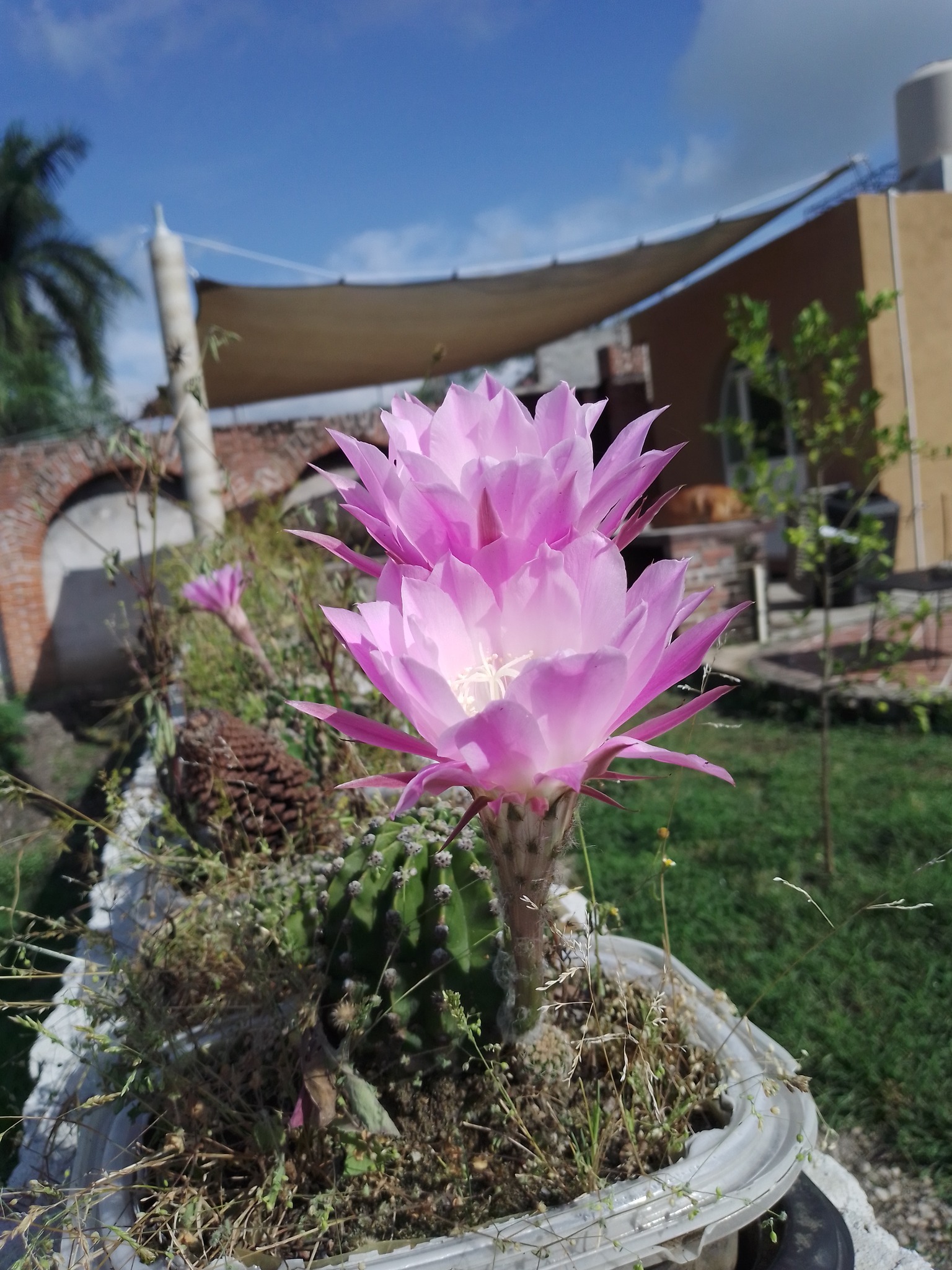 Trabajo 6 Las Cuatalatas