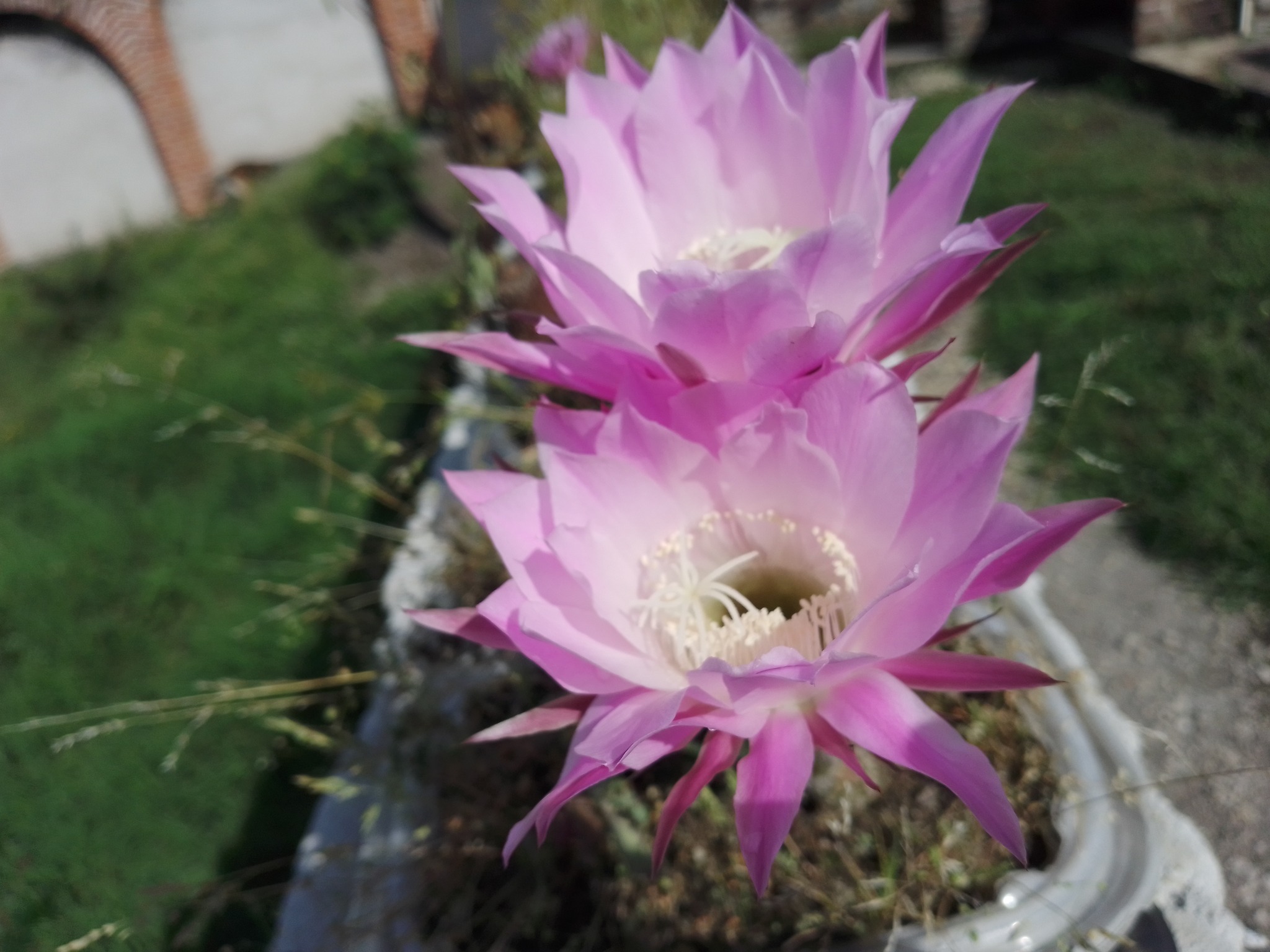 Trabajo 7 Las Cuatalatas