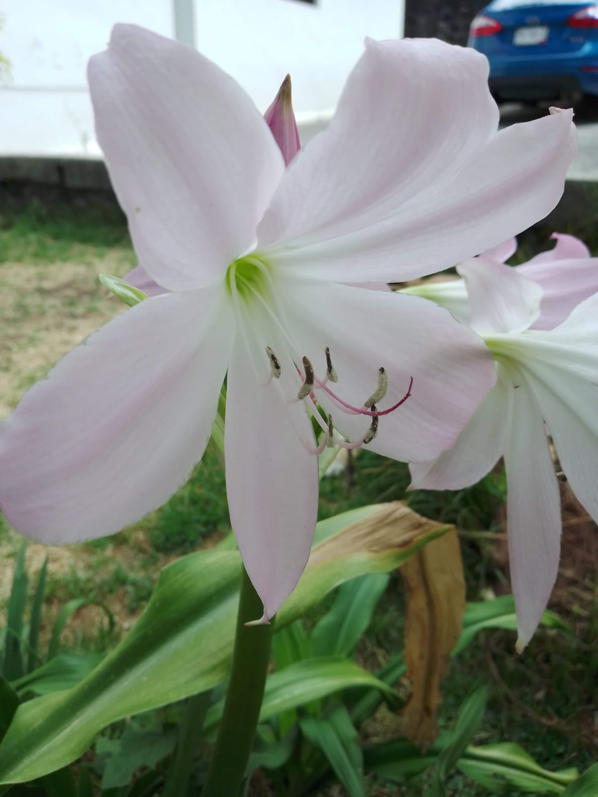 Trabajo 8 Las Cuatalatas